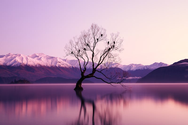 Spring Pond Preparation: Your Complete Guide to Getting Your Koi Ready for the Season